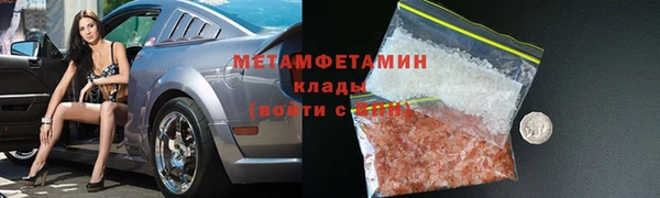 гидра Богданович