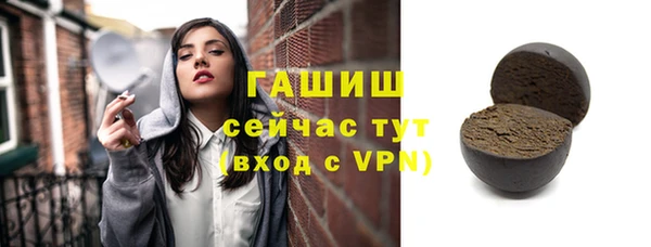 гидра Богданович