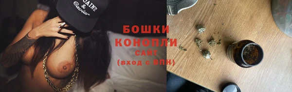 гидра Богданович
