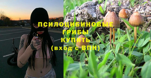 гидропоника Богородск