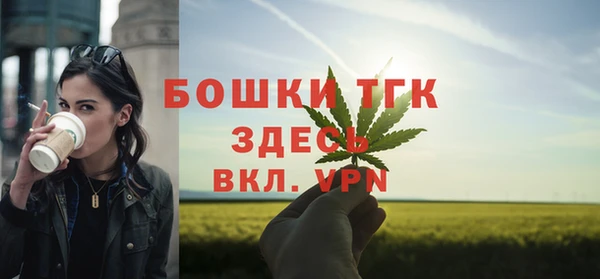 спайс Богородицк
