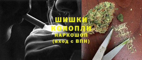 гидра Богданович