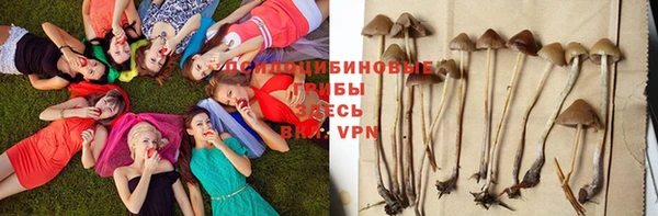 спайс Богородицк